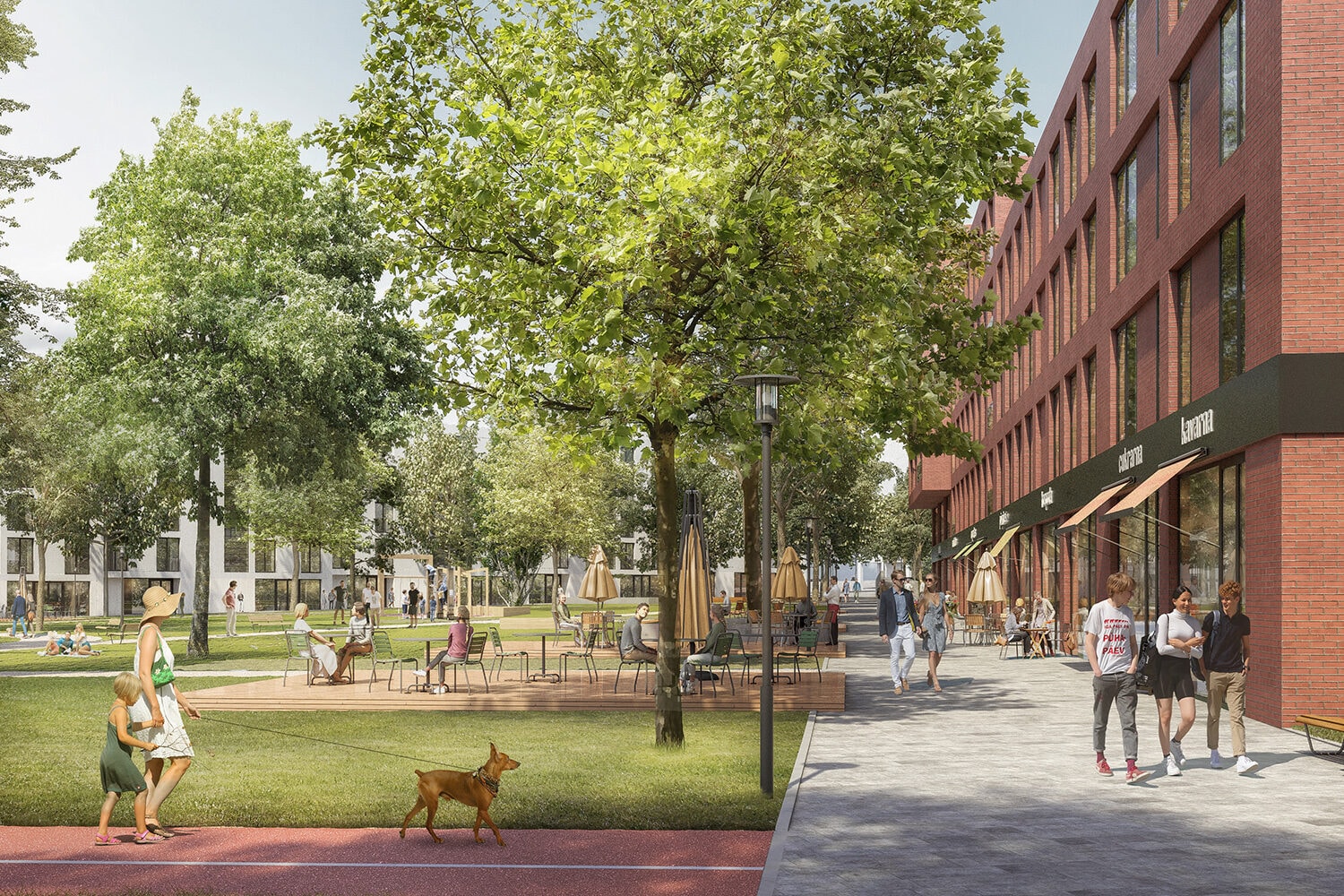 ÚZEMNÍ STUDIE NOVÉHO CENTRA MĚSTA, MILOVICE — fotografie 4